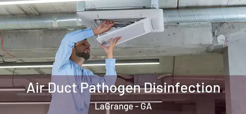 Air Duct Pathogen Disinfection LaGrange - GA