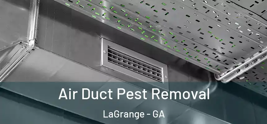 Air Duct Pest Removal LaGrange - GA