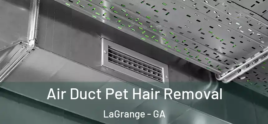  Air Duct Pet Hair Removal LaGrange - GA