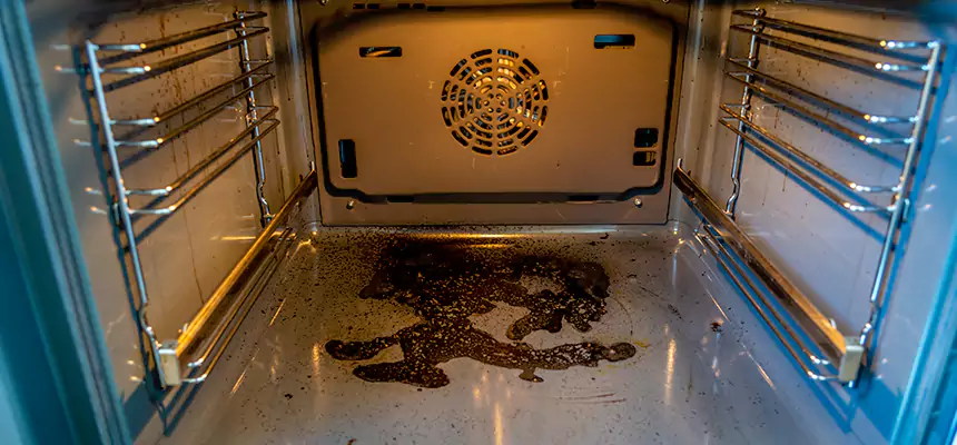 Our Dryer Vent Mold Cleaning Services in LaGrange, GA