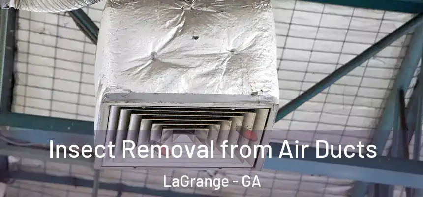 Insect Removal from Air Ducts LaGrange - GA