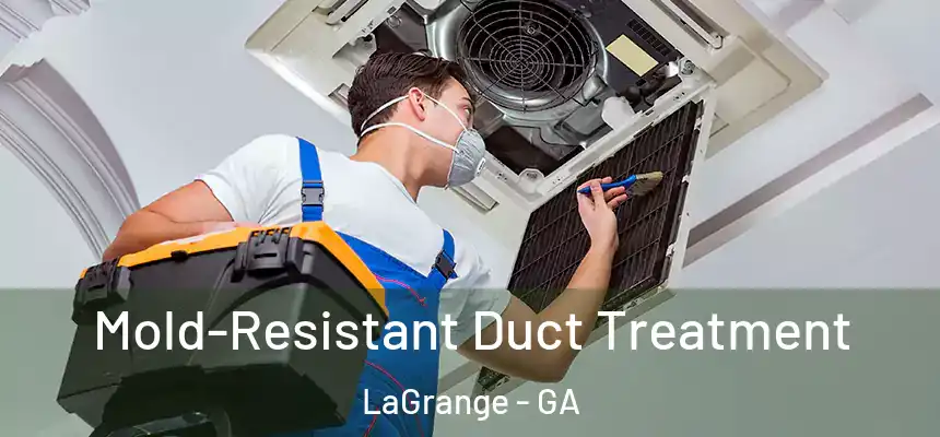 Mold-Resistant Duct Treatment LaGrange - GA
