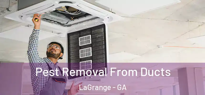  Pest Removal From Ducts LaGrange - GA