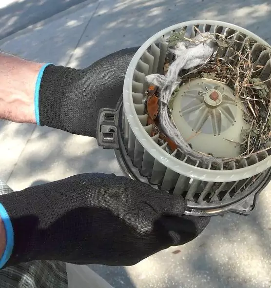 About Air Duct Mice Removal in LaGrange, GA