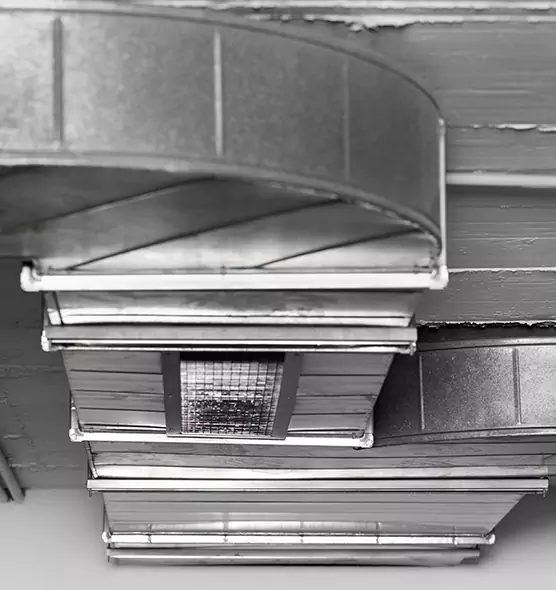 Professional Air Duct Pet Hair Removal in LaGrange, GA