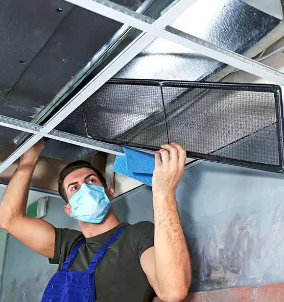Professional Air Duct Pollen Cleaning in LaGrange, GA