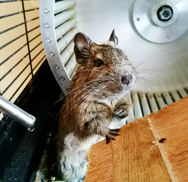 Why Homeowners & Businesses Trust Us LaGrange, GA